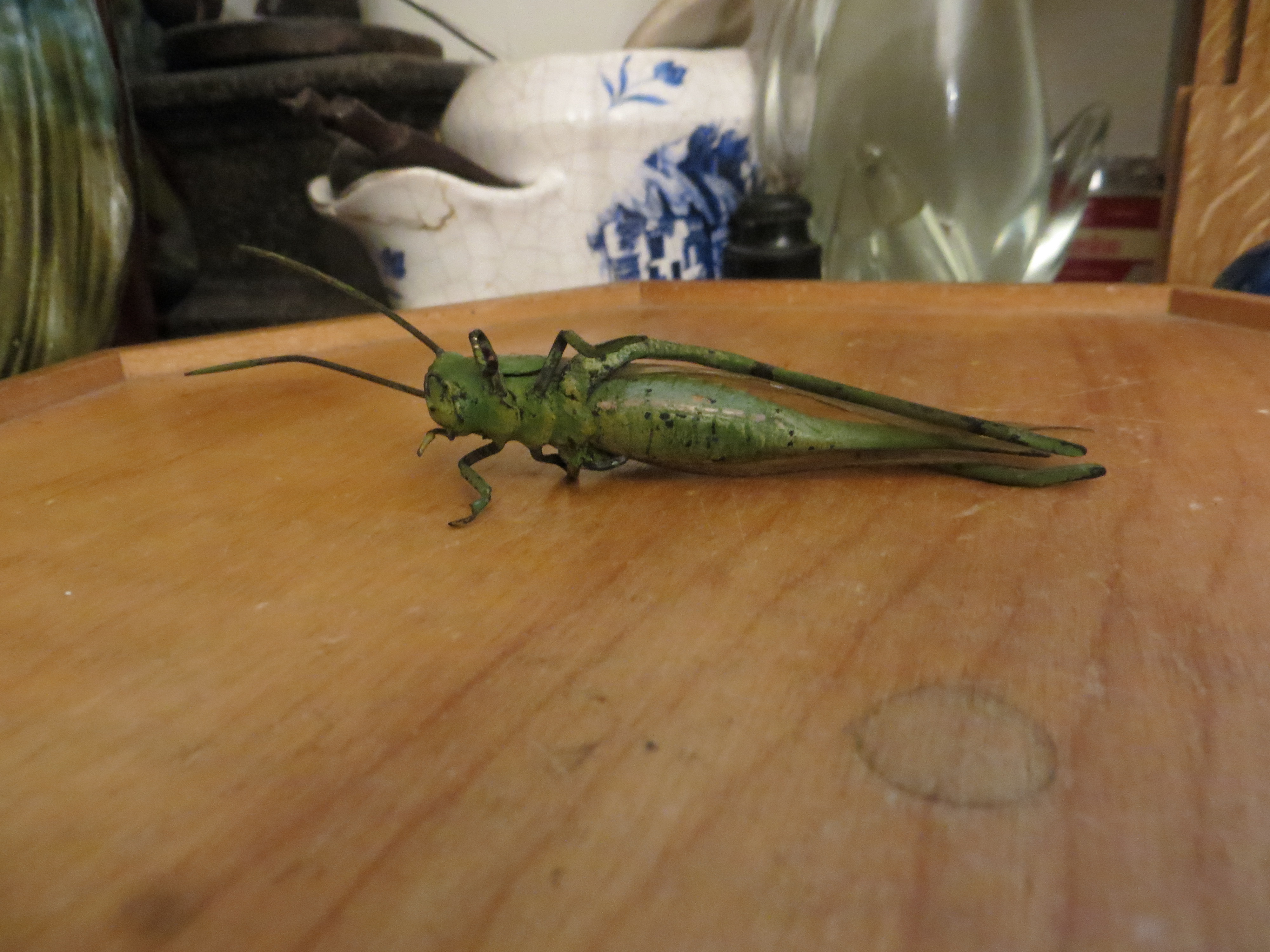 Austrian cold painted Bronze Grasshopper / Locust
